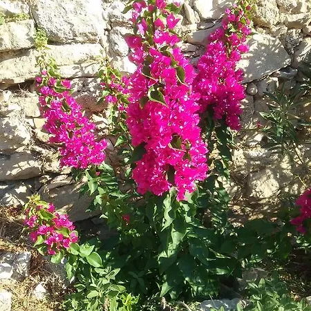 Magda Tatil Evi Makrádes